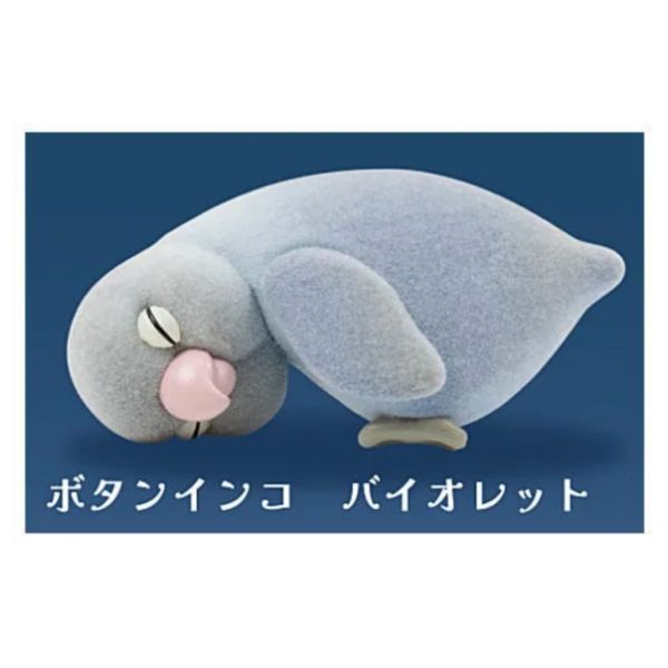 2A781『現貨』睡著了鸚鵡公仔 Qualia 扭蛋 轉蛋 