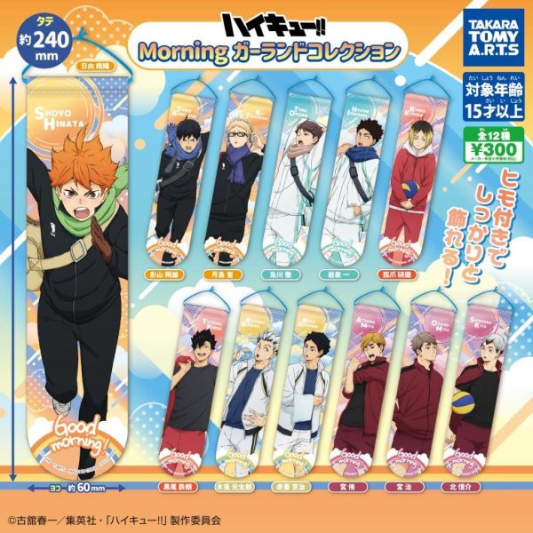 6A109『現貨』 排球少年迷你造型掛旗-Morning篇   T-ARTS  扭蛋   轉蛋 