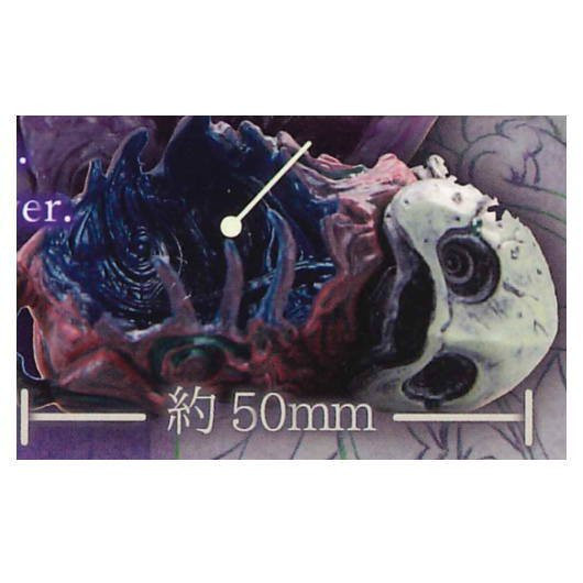 1A70『現貨』tsumugibako 紡之箱 第2節 異存 扭蛋 轉蛋 