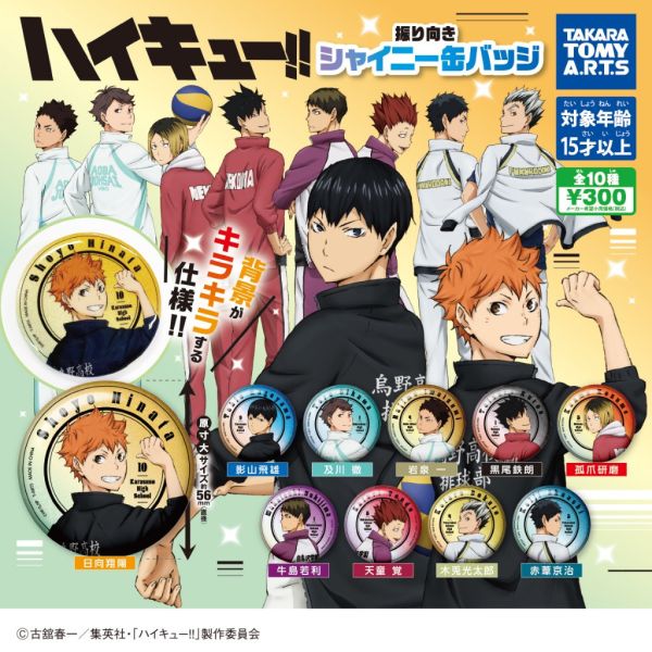 3A834『現貨』排球少年閃亮回頭徽章 T-ARTS 扭蛋 轉蛋 