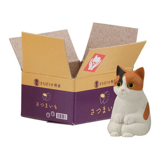 1A804『現貨』等待中貓咪公仔P4 BANDAI 扭蛋 轉蛋 