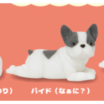 4A198『現貨』捏捏巨大法國鬥牛犬 KOROKORO 扭蛋 轉蛋 