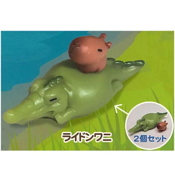 3A811『現貨』水豚的日常公仔 AMUSE 扭蛋 轉蛋 