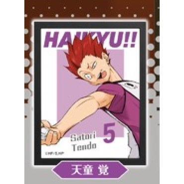 5A784『現貨』排球少年海報燈箱sideA  Standstones  扭蛋   轉蛋 