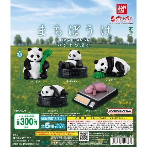 6A184『現貨』等待中熊貓 BANDAI  扭蛋   轉蛋 