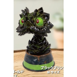 2A451『現貨』觀葉爬蟲類公仔 Qualia 扭蛋 轉蛋 