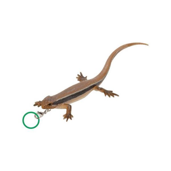 5A795『現貨』NTC-蜥蜴與壁虎造型吊飾   IKIMON  扭蛋   轉蛋 