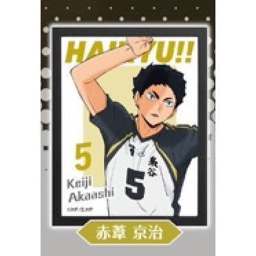 5A784『現貨』排球少年海報燈箱sideA  Standstones  扭蛋   轉蛋 