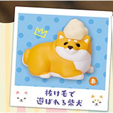5A311『現貨』動物愛好系列-柴犬的日常P2  Standstones  扭蛋   轉蛋 