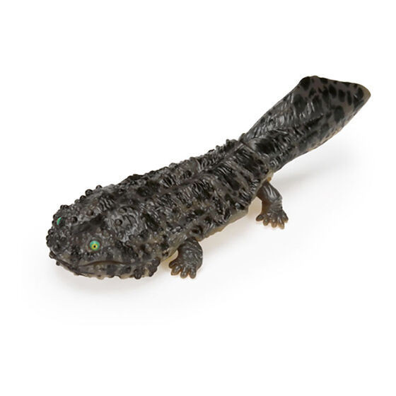 1A349『現貨』生物大圖鑑-日本大鯢與墨西哥鈍口螈 BANDAI 扭蛋 轉蛋 