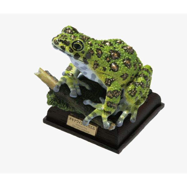 2A807『現貨』NTC圖鑑-日本蛙 特裝版 IKIMON 扭蛋 轉蛋 