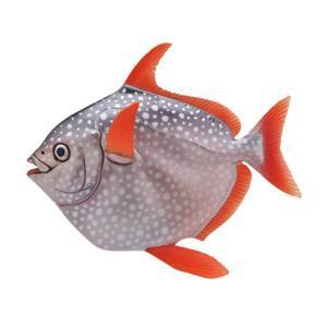 5A057『現貨』NTC圖鑑-深海生物珠鍊吊飾&磁鐵P2    IKIMON  扭蛋   轉蛋 