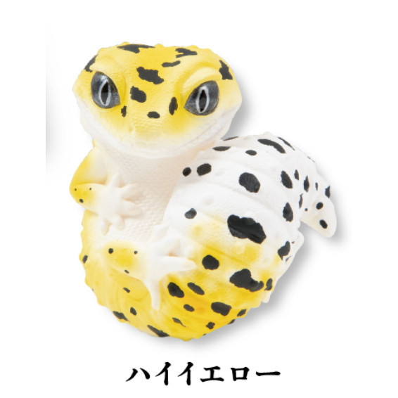 3A919『現貨』真工房可愛角色系列 豹紋壁虎吊飾 Qualia 扭蛋 轉蛋 