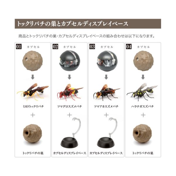 egb409『現貨』蜾蠃環保扭蛋 黃蜂 蜜蜂 胡蜂 虎頭蜂 扭蛋 轉蛋 