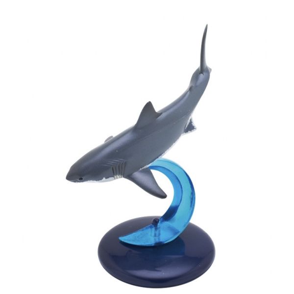 egb429『現貨』NTC生物模型-鯊魚篇 扭蛋 轉蛋 