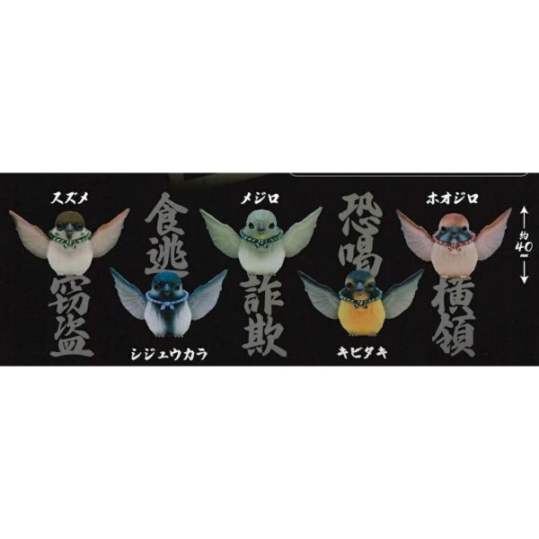 5A196『現貨』強盜雀   Bright link  扭蛋   轉蛋 