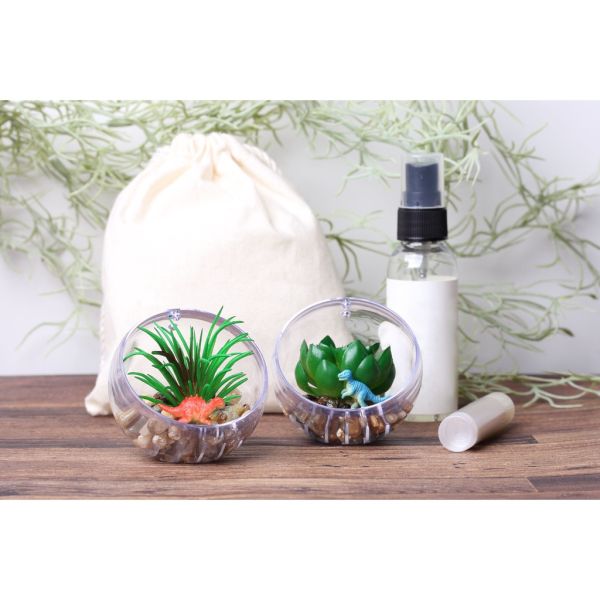 egb440『現貨』垂吊植物盆景品P2 扭蛋 轉蛋 