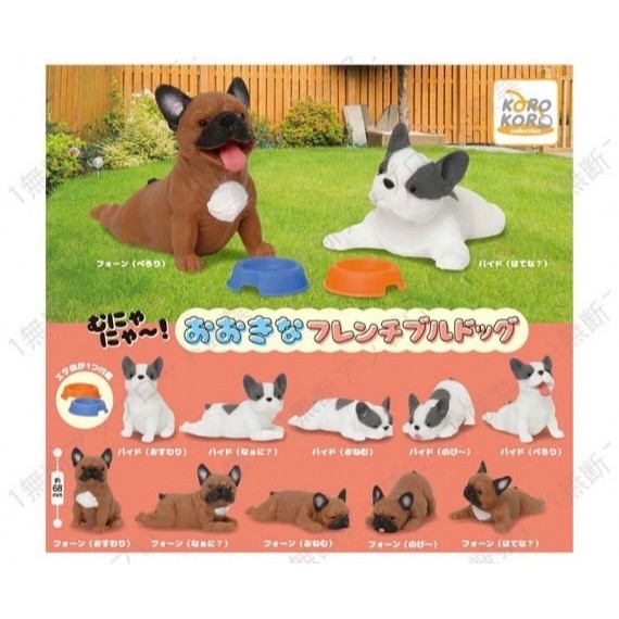 4A198『現貨』捏捏巨大法國鬥牛犬 KOROKORO 扭蛋 轉蛋 