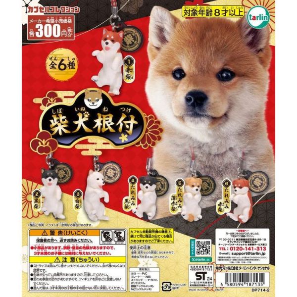 2A484『現貨』柴犬根付吊飾 Tarlin 扭蛋 轉蛋 