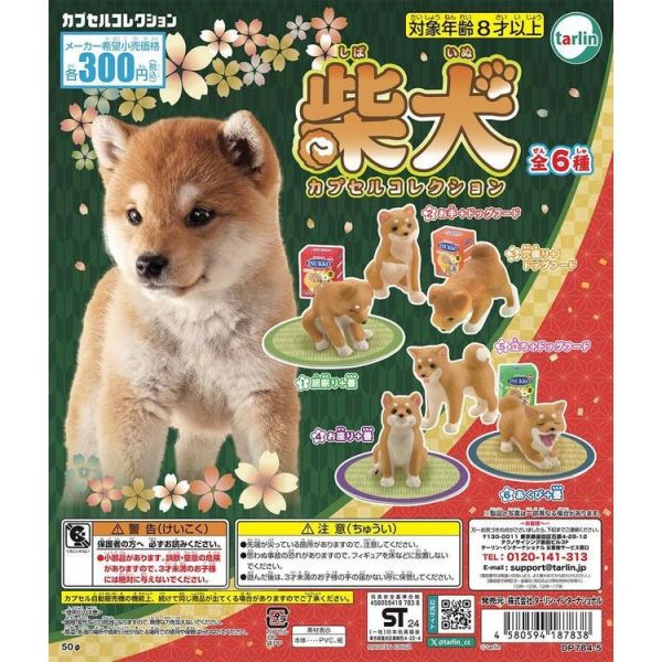 3A394『現貨』柴犬扭蛋公仔 Tarlin 扭蛋 轉蛋 