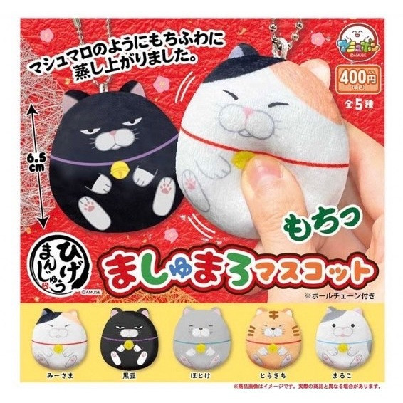 2A784『現貨』鬍鬚饅頭貓軟軟吊飾 AMUSE 扭蛋 轉蛋 