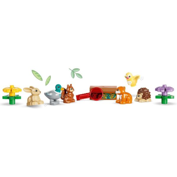 『現貨』  LEGO 10480	DUPLO-森林與野生動物探索套裝    盒組 