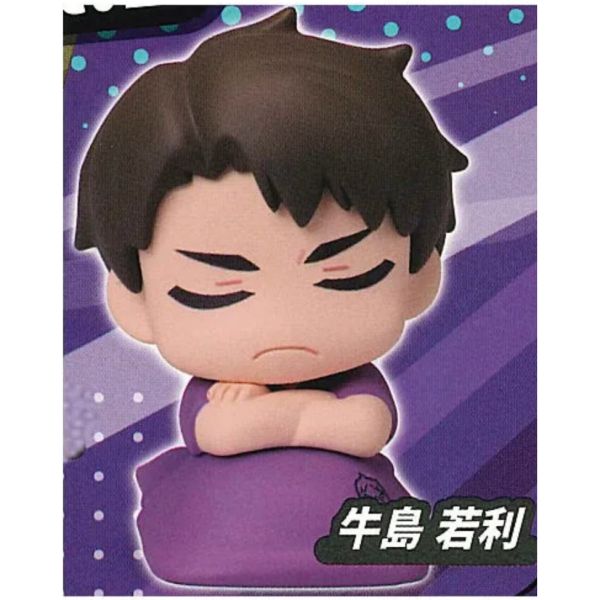 3A584『現貨』排球少年睡眠公仔P2 Standstones 扭蛋 轉蛋 