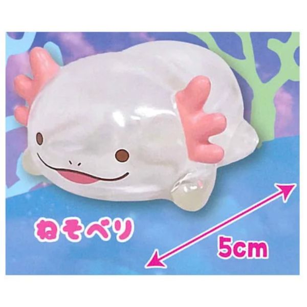 3A054『現貨』多彩蠑螈透明軟膠公仔 AMUSE 扭蛋 轉蛋 