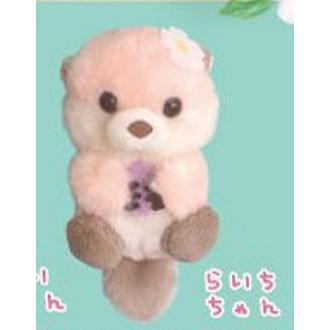 5A722『現貨』開心小海獺玩偶吊飾  AMUSE 扭蛋   轉蛋 