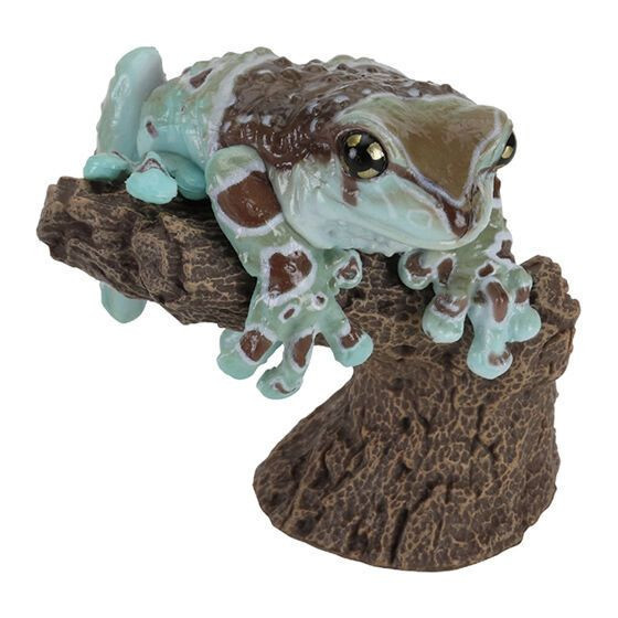 2A934『現貨』生物大圖鑑環指-日本雨蛙與牛奶樹蛙 BANDAI 扭蛋 轉蛋 