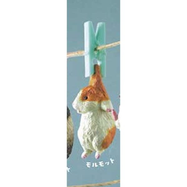 2A863『現貨』曬動物的好天氣P2 YELL 扭蛋 轉蛋 