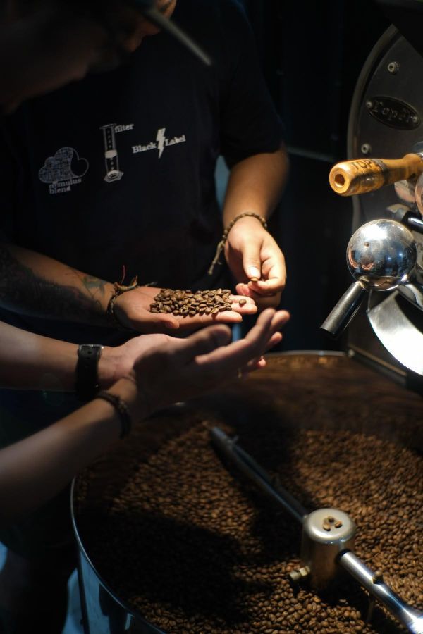 清醒景列 - 咖啡豆 Coffee Awakening Series 