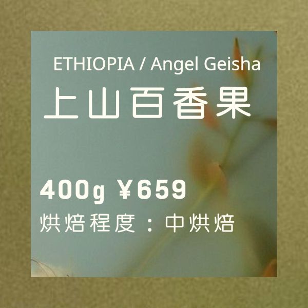 清醒景列 - 咖啡豆 Coffee Awakening Series 