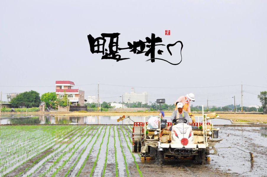 田邊一粒米:一包一等米 1.2kg 醒味白米,嘉義白米,台灣白米,白米推薦,香Q白米,優質白米,1.2公斤白米,小包裝白米,家庭用白米,新鮮白米,在地好米,嘉義好米,日常白米,米推薦,台灣稻米
