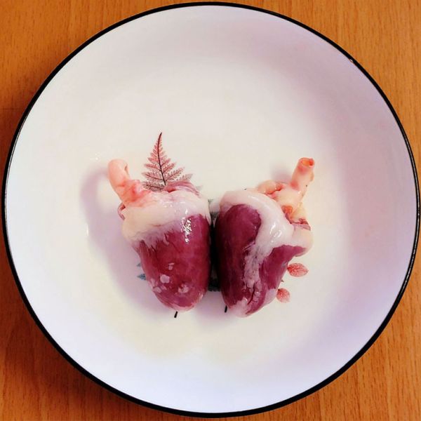 愛豆火雞鮮食:火雞心 火雞肝 火雞胗 火雞腳 火雞腳(剁) 火雞尾椎 火雞內臟泥 火雞佛 火雞脖子 