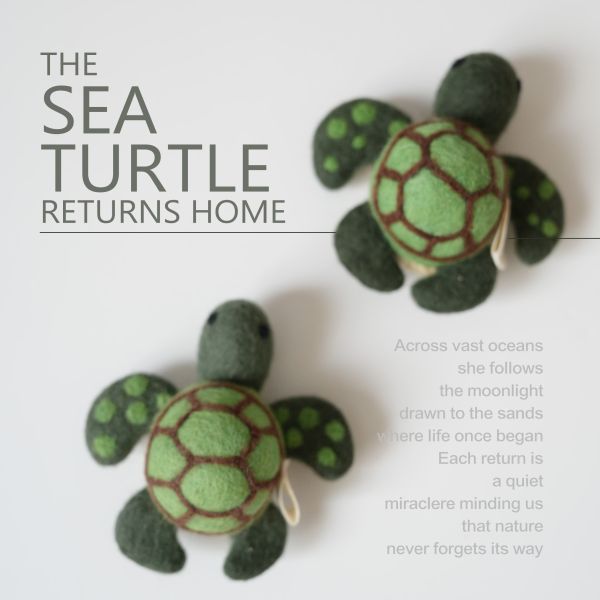 羊毛氈偶、針插 | 海龜回家 保育類、羊毛氈, 手工羊毛氈, 羊毛氈製品, 紐西蘭羊毛,公平貿易商品,手作,禮物