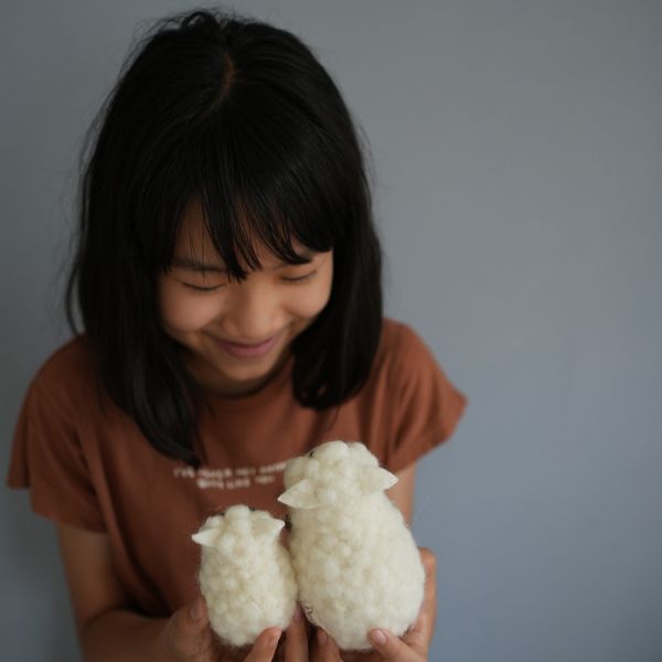 羊毛氈捲捲羊 羊毛氈, 羊毛氈, 手工羊毛氈, 羊毛氈製品, 紐西蘭羊毛,公平貿易商品,手作,禮物