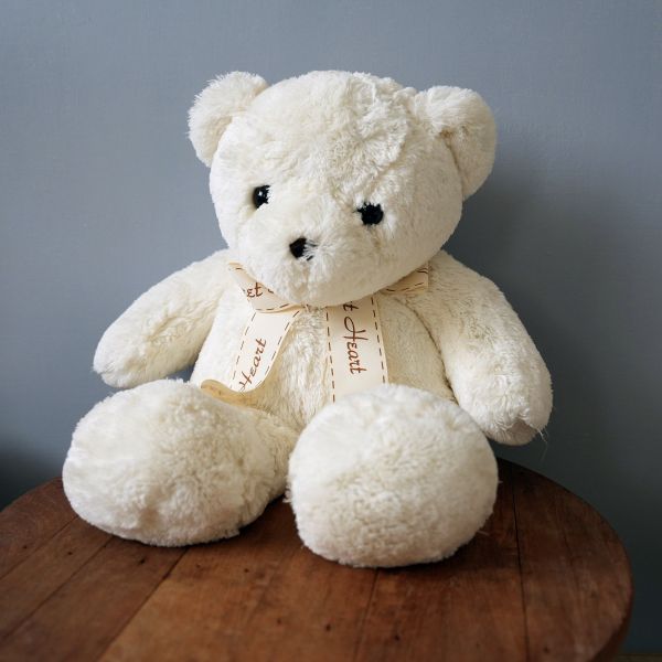 Free物區 | 毛絨絨白熊 免費,二手,二手物品分享, 二手好物, 環保生活, 物品再利用, 循環經濟, 永續生活, 交換平台, 友善地球