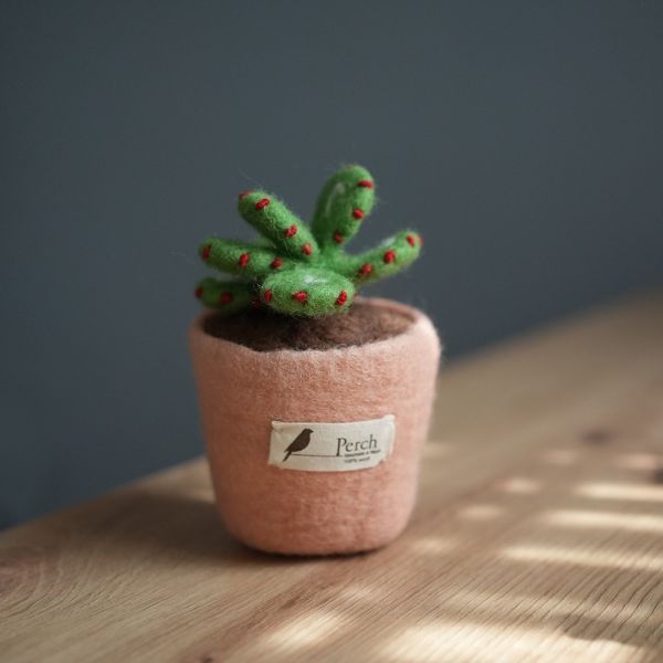 羊毛氈擺件 | 植栽 羊毛氈, 手工羊毛氈, 羊毛氈製品, 紐西蘭羊毛,公平貿易商品,手作,禮物