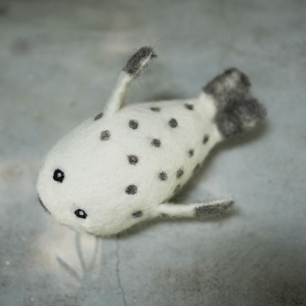 羊毛氈偶 | 海豹 保育類、羊毛氈, 手工羊毛氈, 羊毛氈製品, 紐西蘭羊毛,公平貿易商品,手作,禮物