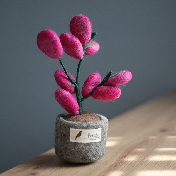 羊毛氈擺件 | 植栽 羊毛氈, 手工羊毛氈, 羊毛氈製品, 紐西蘭羊毛,公平貿易商品,手作,禮物