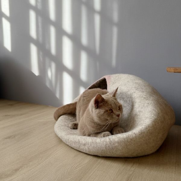 羊毛氈寵物窩 | 送逗貓球 羊毛氈, 手工羊毛氈, 羊毛氈製品, 紐西蘭羊毛,公平貿易商品,手作,禮物,貓屋,寵物窩