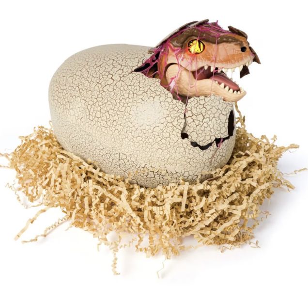 日本 TAKARA TOMY 會孵化的恐龍蛋 TAKARA TOMY,艾希莉,ACZ,acz,代購,日本代購