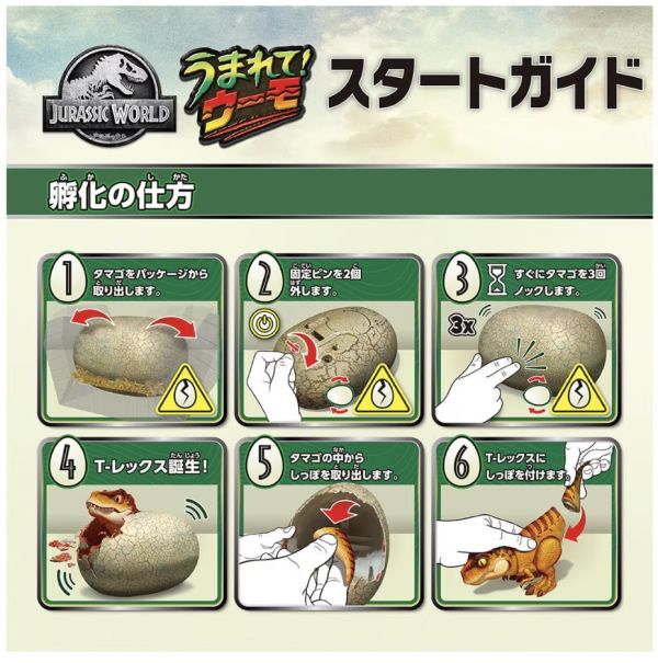 日本 TAKARA TOMY 會孵化的恐龍蛋 TAKARA TOMY,艾希莉,ACZ,acz,代購,日本代購