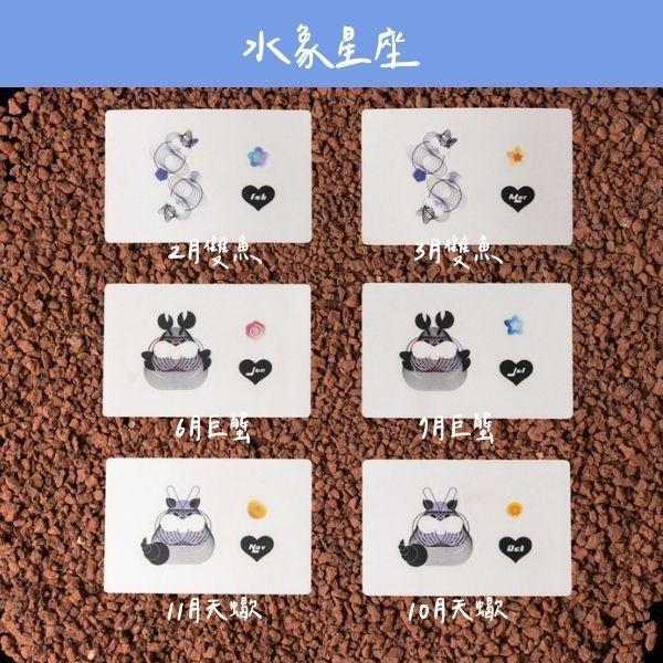 AiAOxOli.U 聯名海茴香護手霜 40ml AiAO,護手霜,聯名護手霜,Oli.U,海茴香,緊緻護手霜,生日禮物,星座貼紙,玫瑰香氛護手霜,聯名設計,護手霜推薦,誕生花,獨特個性化宣言,愛心,自由創作