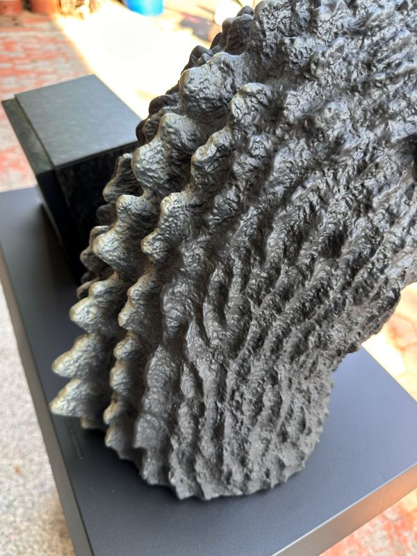 1954年 初代哥吉拉 Final Box GODZILLA 50週年紀念 DVD 頭雕 