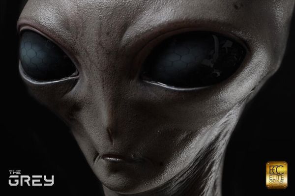 2016年 ECC Elite Creature Collectibles 外星人 胸像 