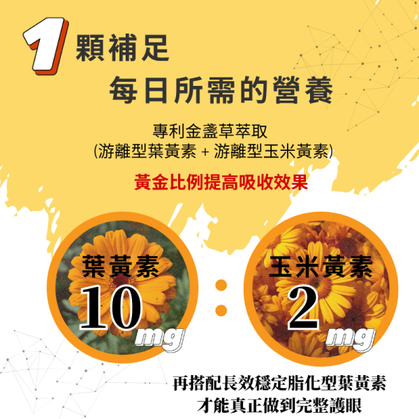 [暮曉葉黃素] 水潤雙型態游離+脂化葉黃素 超值2入組 護眼營養補充品
緩解眼睛疲勞
上班族 護眼
手機族 葉黃素 / 長時間用眼 葉黃素
葉黃素
金盞草萃取
護眼保健食品
視力保健
抗藍光保健