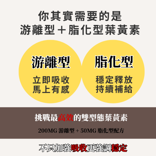 [暮曉葉黃素] 水潤雙型態游離+脂化葉黃素 超值2入組 護眼營養補充品
緩解眼睛疲勞
上班族 護眼
手機族 葉黃素 / 長時間用眼 葉黃素
葉黃素
金盞草萃取
護眼保健食品
視力保健
抗藍光保健