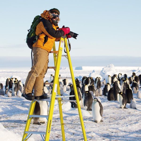 免費講座 ｜02/07 南極與北極的冰之世界：從企鵝到北極熊，探索地球的未來 